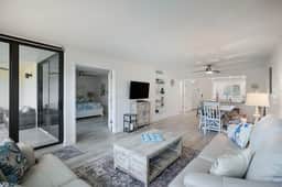 Loggerhead 251