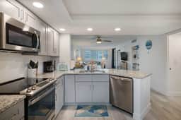 Loggerhead 251