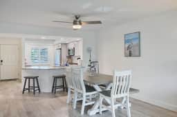 Loggerhead 251