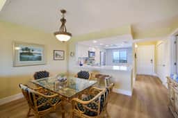 Loggerhead 523