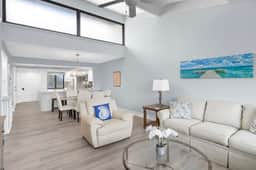 Loggerhead 253