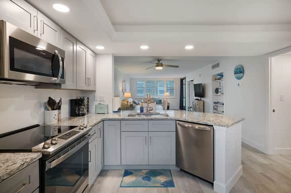Loggerhead 251