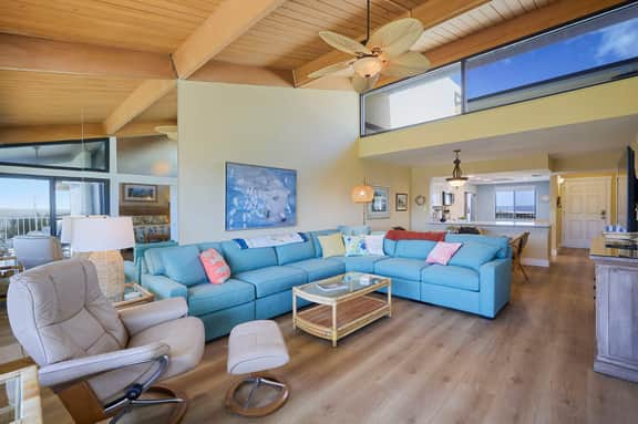 Loggerhead 523